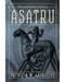 Practical Heathen's Guide Asatru Practical Heathen