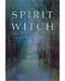 Spirit of the Witch by Raven Grimassi