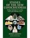 Stones of the New Consciousness by Robert Simmons