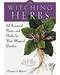 Witching Herbs, 13 Essential Plants & Herbs by Harold Roth