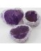 Collection of 56 Amethyst Eggs