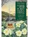 Druid Plant oracle deck by Carr-Gomm & Carr-Gomm Druid Plant oracle deck by Carr-Gomm & Carr-Gomm