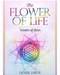 Flower of Life Flower of Life