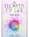 Flower of Life