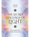 Secret Language of Light by Debise Jarvie