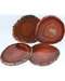 Red Agate coaster (set of 4)
