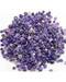 1 lb Amethyst tumbled chips 3-8mm 1 lb Amethyst tumbled chips 3-8mm