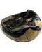 Jasper, Septarian egg W Druze