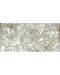 Flat Of Polished Clear Quartz Points Flat Of Polished Clear Quartz Points