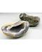 2-3# Geode Agate