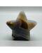 1-1.5# Star agate polished