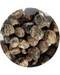1 lb Jasper, Green Leopard Skin tumbled stones 1 lb Jasper, Green Leopard Skin tumbled stones