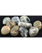 1 Lb Tree Agate Tumbled Stones 1 Lb Tree Agate Tumbled Stones