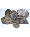 1 lb Chiastolite untumbled stones