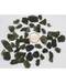 50gms Moldavite untumbled