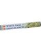 White Sage HEM stick 20pk