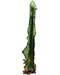 Green Dragon Incense Holder Green Dragon Incense Holder