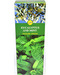 (box of 6) Eucalyptus and Mint sree vani stick