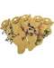 Stone Anklet Stone Anklet