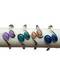 magnetic Cat's Eye Rhodiom 2 oval bracelet various stones magnetic Cat