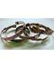 Tri-Color Magnetic various bracelet