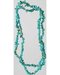 Turquoise 36 Chip Necklace