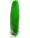 Green feather