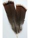 Bronze Pre-Tail Turkey Feather