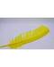 (set of 10) Yellow feather 12"
