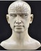 Phrenology Head