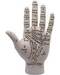 9 1/2" Palmistry Hand