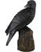 Raven Back 6" Statue