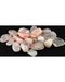 1 lb Rose Quartz tumbled