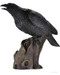 Raven 12" Statue