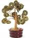 Money Tree 4"