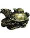 Money Turtle 2 1/2" Money Turtle 2 1/2"