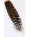 Turkey Wing feather shorts Turkey Wing feather shorts