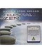 CD: Celestial Zen