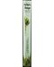 White Sage 20pk White Sage 20pk